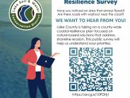 survey